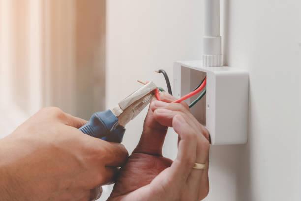 Best Electrical Panel Upgrades  in Elm Grove, WI